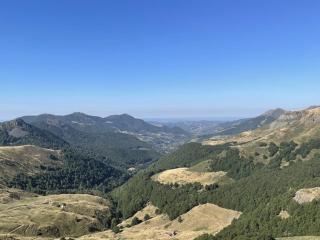 Agréable T2 au pied des pistes avec piscine estivale, parking, et animaux bienvenus - FR-1-787-31 - Laveissière - 1