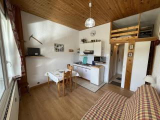 Studio fonctionnel aux pieds des pistes avec balcon et Wi-Fi, Laveissière - FR-1-787-64 - Laveissière - 5