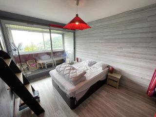 Appartement T2 cabine avec balcon, accès piste, parking, animaux bienvenus - FR-1-787-69 - Laveissière - 9