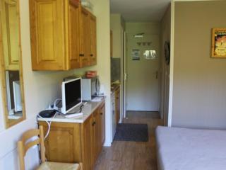Studio cosy 2/3 pers, 200m pistes, wifi, parking, animaux ok - FR-1-787-49 - Laveissière - 6