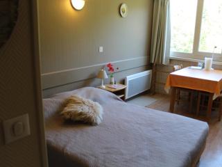 Studio cosy 2/3 pers, 200m pistes, wifi, parking, animaux ok - FR-1-787-49 - Laveissière - 5