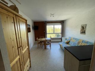 Studio 4 pers, centre station avec WiFi, accès direct pistes et commerces - FR-1-787-66 - Laveissière - 6