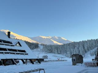 Studio 4 pers, centre station avec WiFi, accès direct pistes et commerces - FR-1-787-66 - Laveissière - 1
