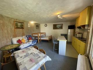 Studio 35m² pour 5 pers. avec balcon, centre station, proche commerces et pistes, animaux acceptés. - FR-1-787-61 - Laveissière - 0