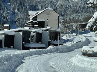 Studio 35m² pour 5 pers. avec balcon, centre station, proche commerces et pistes, animaux acceptés. - FR-1-787-61 - Laveissière - 3