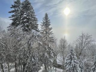Studio au pied des pistes avec Wifi, idéal pour 4 personnes, proche commerces et patinoire - FR-1-787-63 - Laveissière - 2
