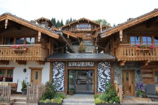 Chalet Promi-Alm in Flachau - Flachau - 7