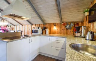 Holiday Home Silkeborg With A Fireplace 05 - 6