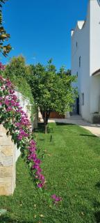 Villa Guajira - Bari - 2