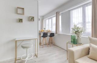 T1 bis proche Orly et paris 4 voyageurs - 8