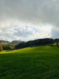 Haus zum Nöckel - 8