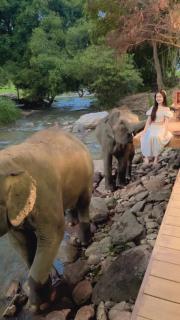 3pok-Riverside maewangjinxiang - 4