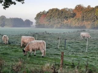 39 Mini Pod "Treene" - 2