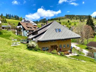 Berghof Almzeit - Fewo "Philosophenstüble", Sauna, Todtnauberg, Feldberg - Todtnau - 0