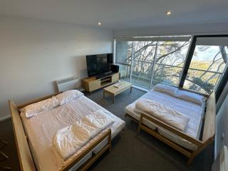 Elkhorn 2 AMS Mt Buller - Mount Buller - 5