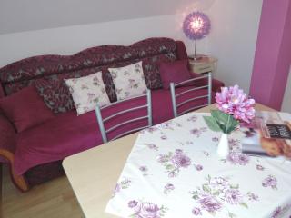 Comfortable apartment close to the sea - Dziwnówek - 9
