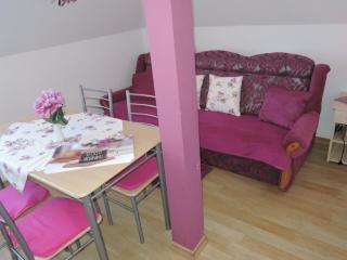 Comfortable apartment close to the sea - Dziwnówek - 7
