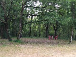 EMPLACEMEMENT TENTE En FORET - 2