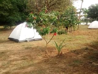 Atakwame Island - - 6