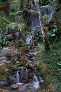 Taman Wisata Bougenville - 4