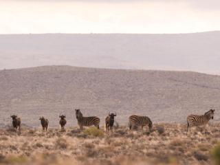 Dellville Country House & Cottages - 6