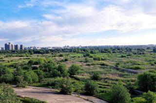 Nature view apartment - Bucarest - 4