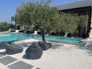 The Olive Hills - Skala Rachoniou - 2