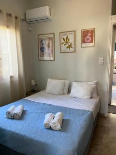 Aegean Summer House - Poros - 8