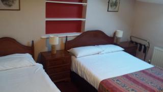 Bridge Hotel - Arklow - 7