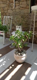 Inn Estio - 6