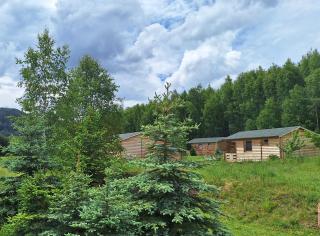 Domki pod Brzózkami - Wambierzyce - 1