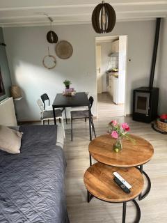 Leuk chalet te huur in Putten, honden van harte welkom, Alleen voor recreatie - 4