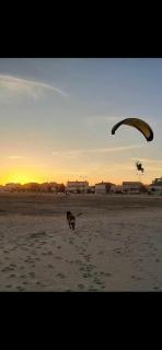 Repos, nature et famille - Narbonne-Plage - 0