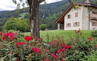 B&B La Paganina - Borno - 0