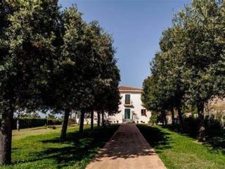 La Pizzuta del Principe - 9