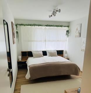 Eine schöne Wohnung am Messeplatz - Basilea - 4