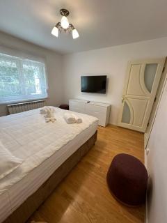 Apartament Confort Obcini - Suceava - 7