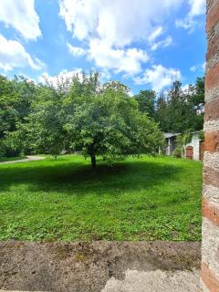 Moulin du château - Saint-Bohaire - 3
