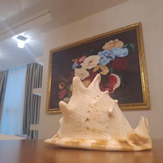 Seren Apartment - Vlora - 0