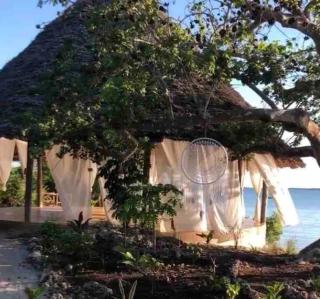 Amani - Private Ocean House with Pool - 9