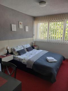 Rooms S&S Milicevic u strogom centru Aleksandrovca - Aleksandrovac - 8