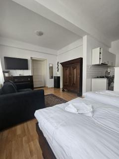 Cozy studio Hermannstadt - Sibiu - 0