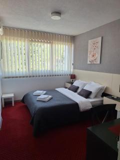 Rooms S&S Milicevic u strogom centru Aleksandrovca - Aleksandrovac - 8