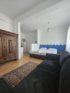 Cozy studio Hermannstadt - 4