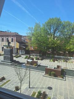 Rooms S&S Milicevic u strogom centru Aleksandrovca - Aleksandrovac - 6