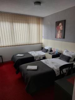 Rooms S&S Milicevic u strogom centru Aleksandrovca - Aleksandrovac - 5