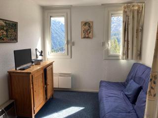 Studio cosy à 200m des pistes avec cuisine équipée - FR-1-557A-37 - La Ferrière - 0