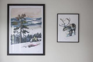 Saunallinen yksiö keskustasta - 2