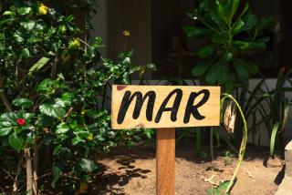 Casa Mariposa Beach Hotel - 4