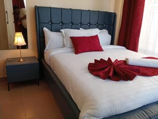 ZenDen Escape 2Br Exec - Nakuru - 7